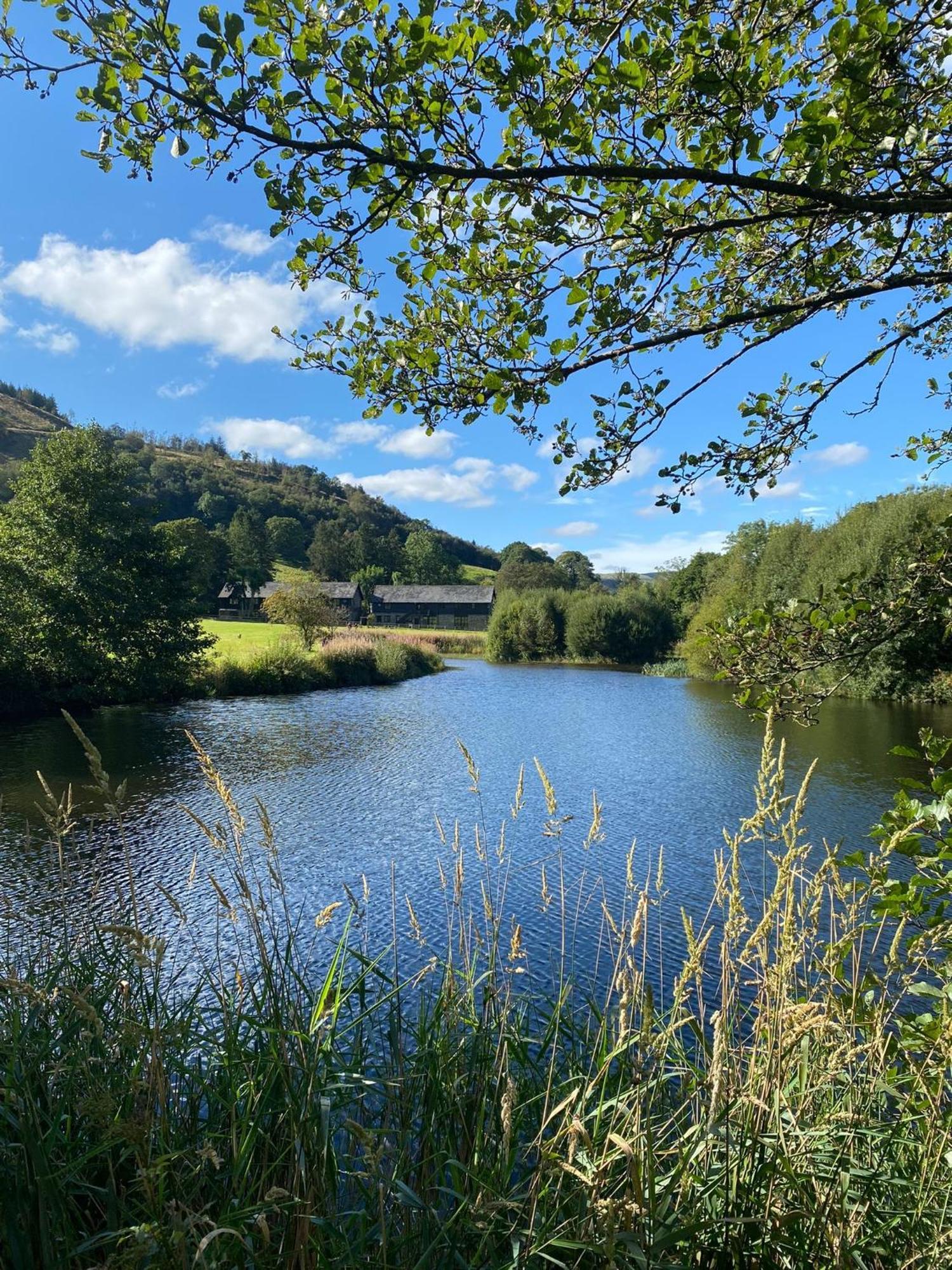 Lake Cottages At Cwm Chwefru Llanafan-fawr Exterior foto